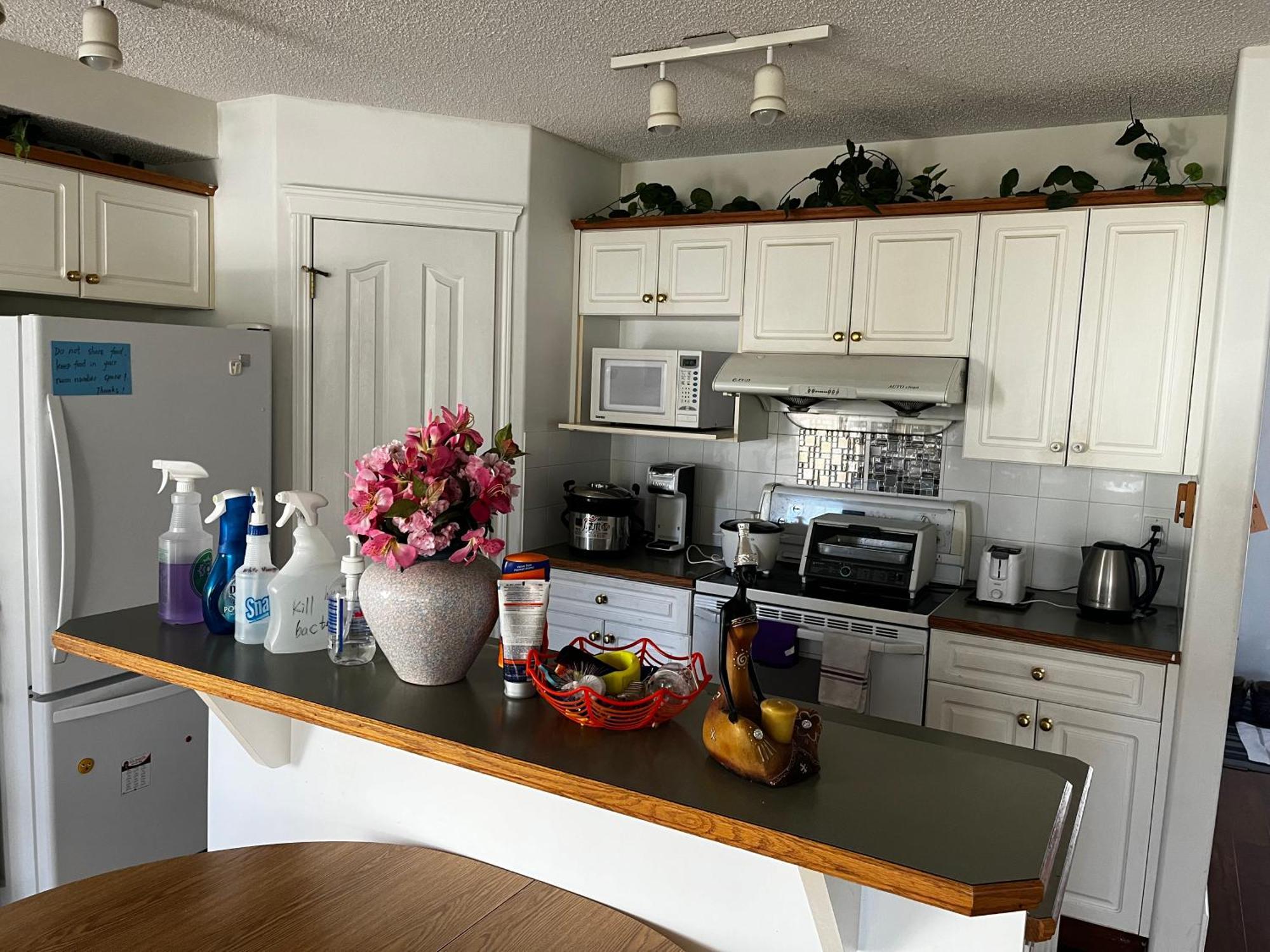 Hidden Valley New Basement Suite With Private Bathroom! YYC Exterior foto